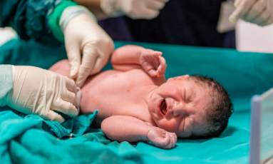 고용보험 미적용자 출산급여