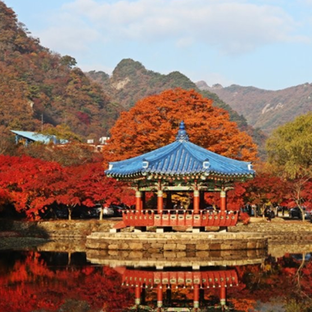 단풍 명소25곳