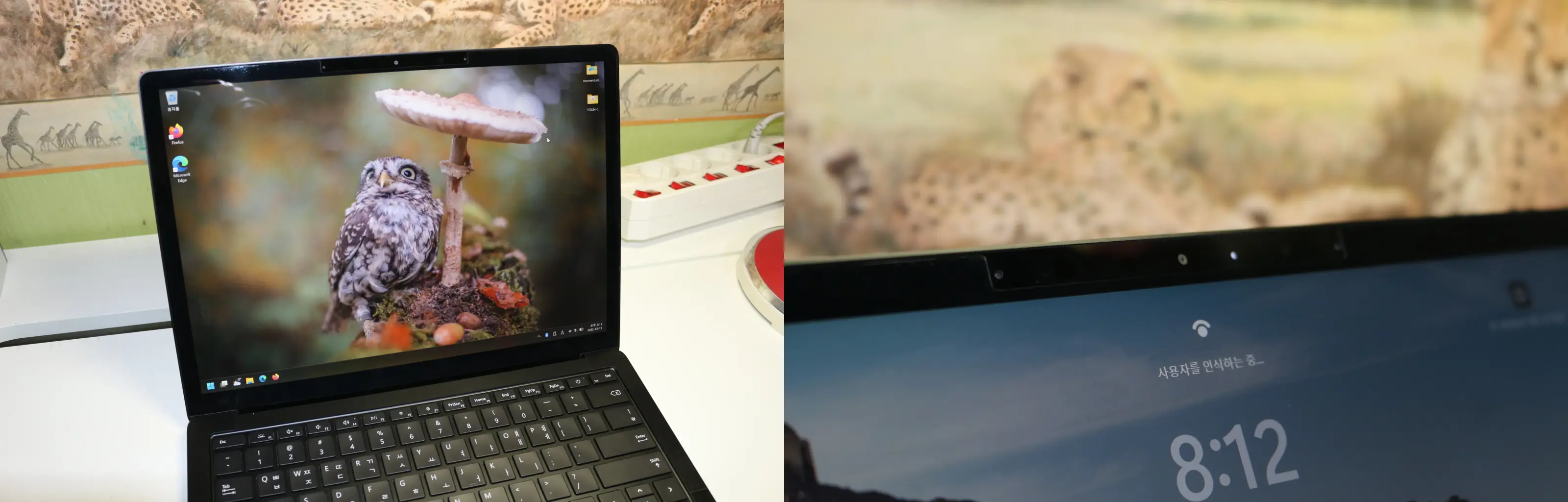 디스플레이와 windows hello