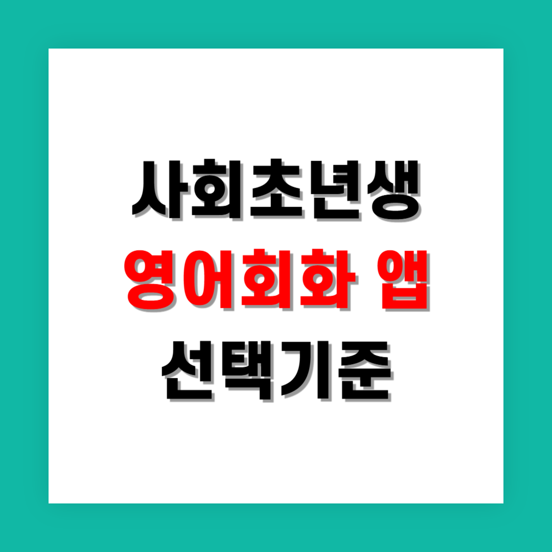 사회 초년생에게 맞는 영어회화 앱 선택 기준은