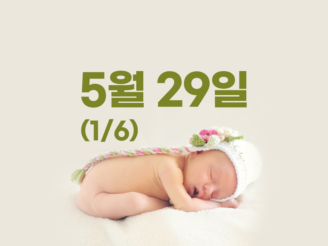5월 29일 천주교 남자세례명 115가지 (1/6)