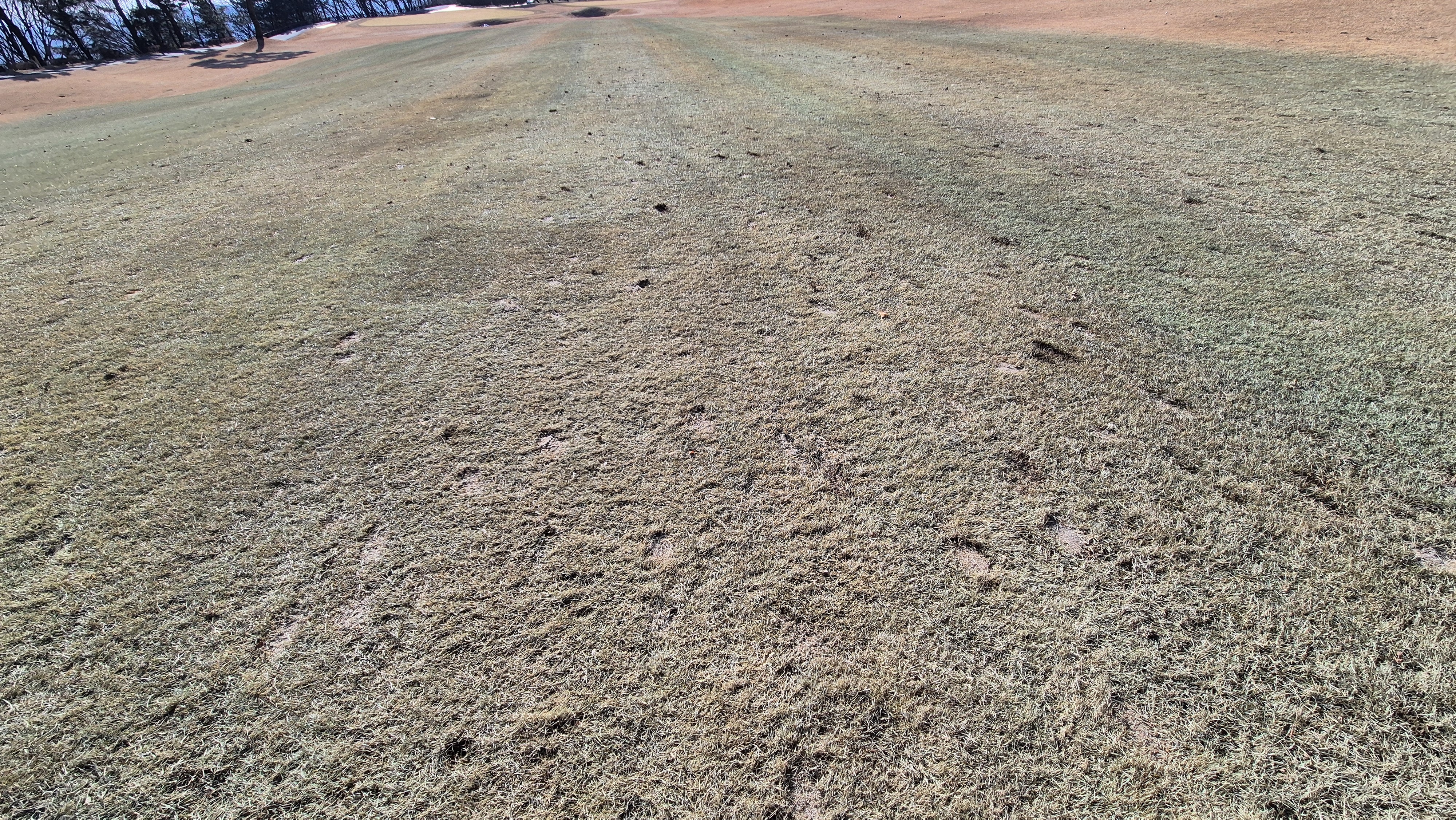 로제비앙gc 로제-비앙 코스 관리 상태