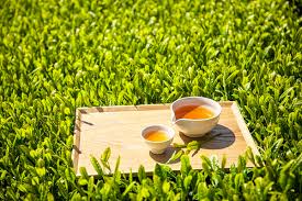 간에 좋은 음식 10가지