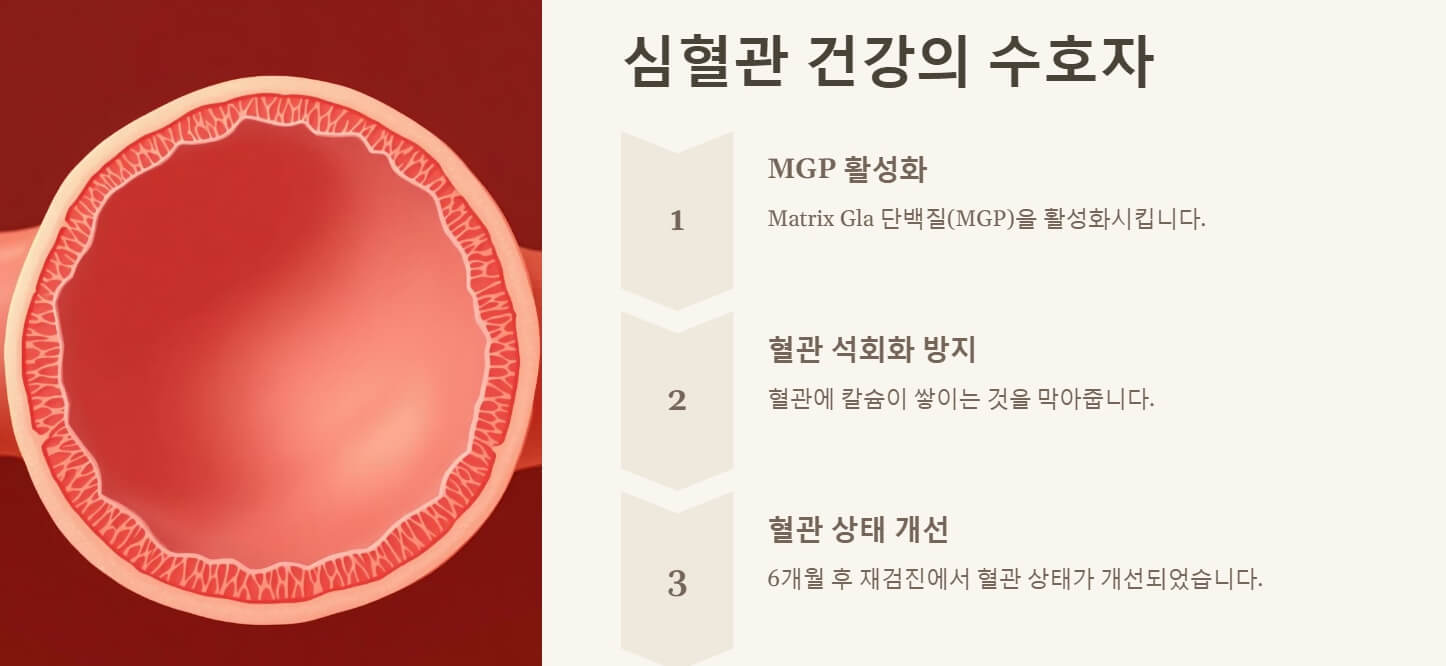 비타민 K2 효능 및 부작용