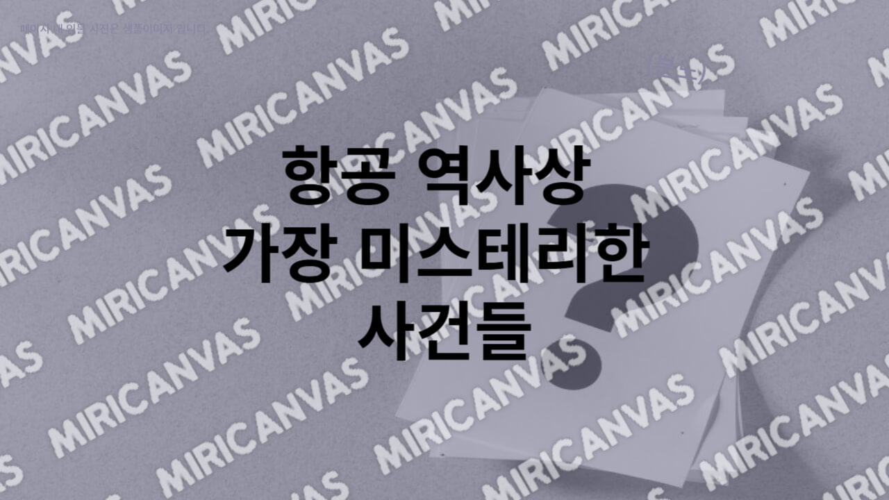 미스테리 항공 사건