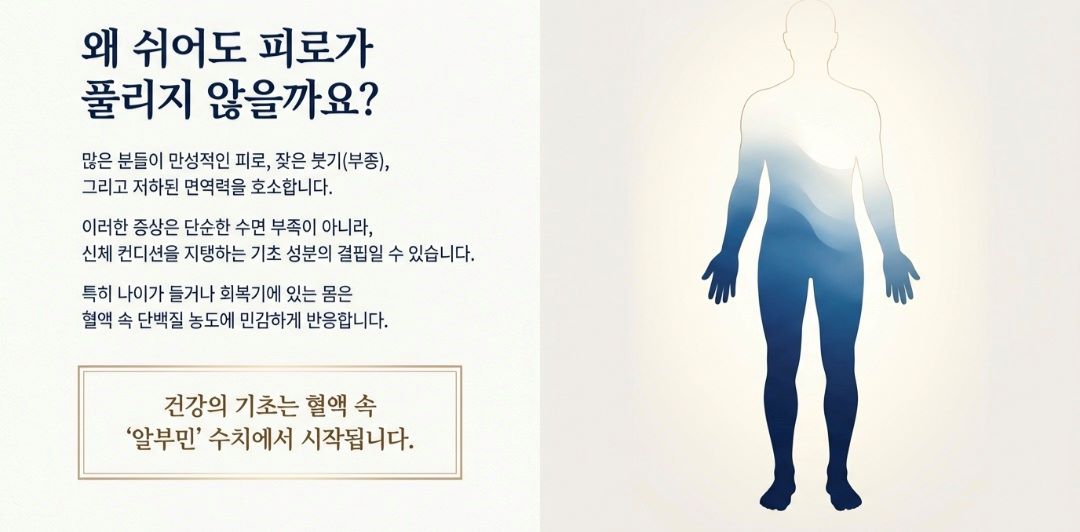알부민영양제추천-사진3