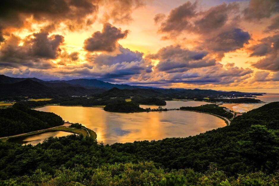 메인 키워드: 해돋이 명소, 한국 해돋이 추천, 해돋이 여행지
서브 키워드: 강릉 정동진 해돋이, 포항 호미곶 일출, 성산 일출봉 새해맞이, 간절곶 해맞이, 동해안 일출 여행