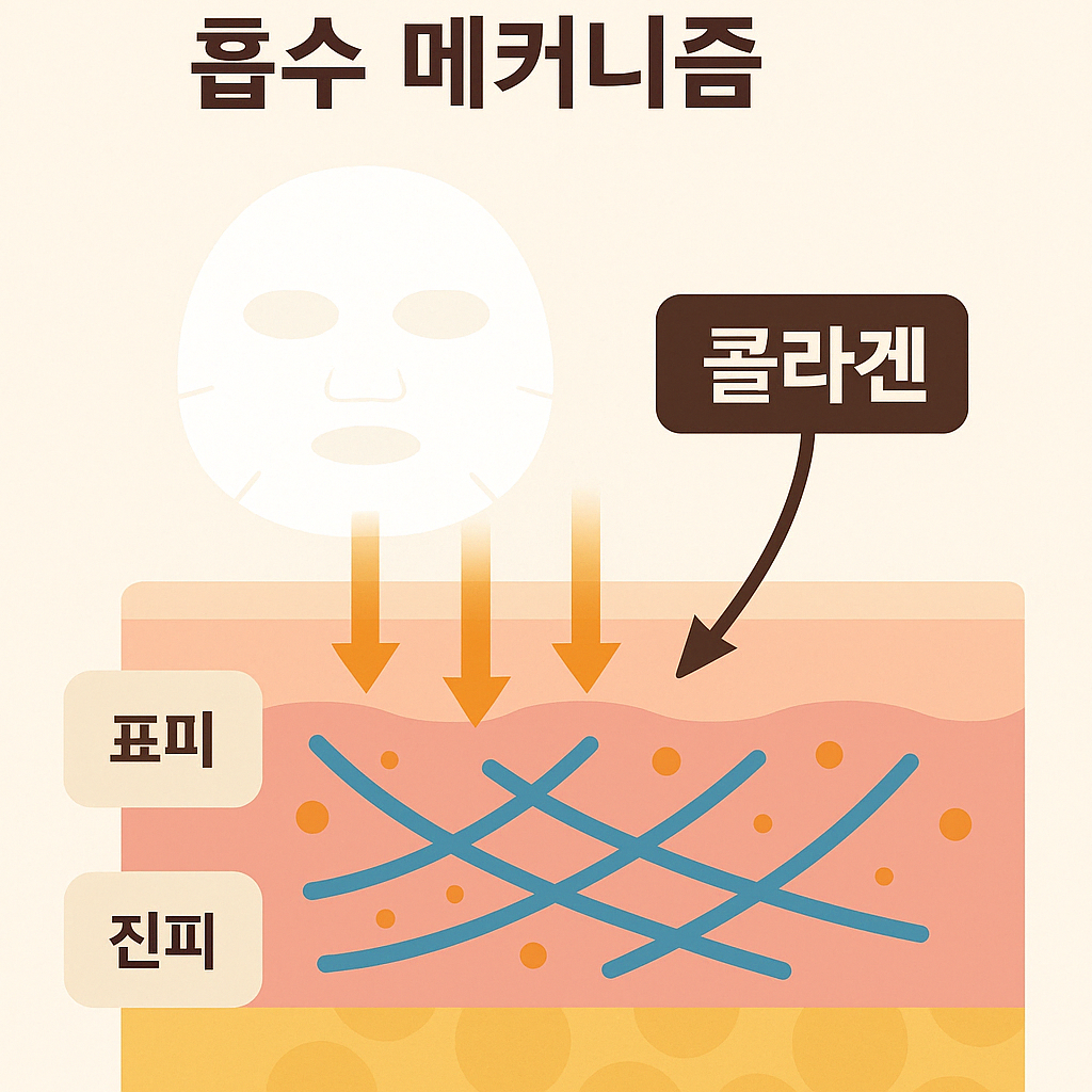 콜라겐 마스크팩 제형 비교 차트