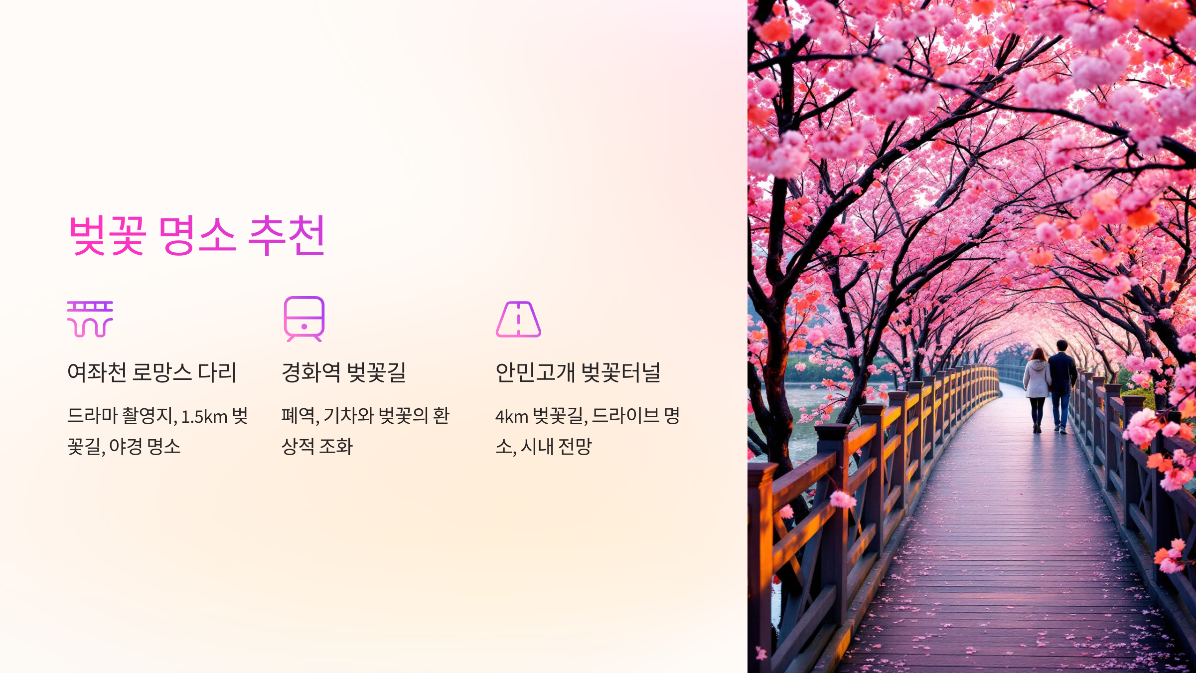 🌸 벚꽃 명소 추천
