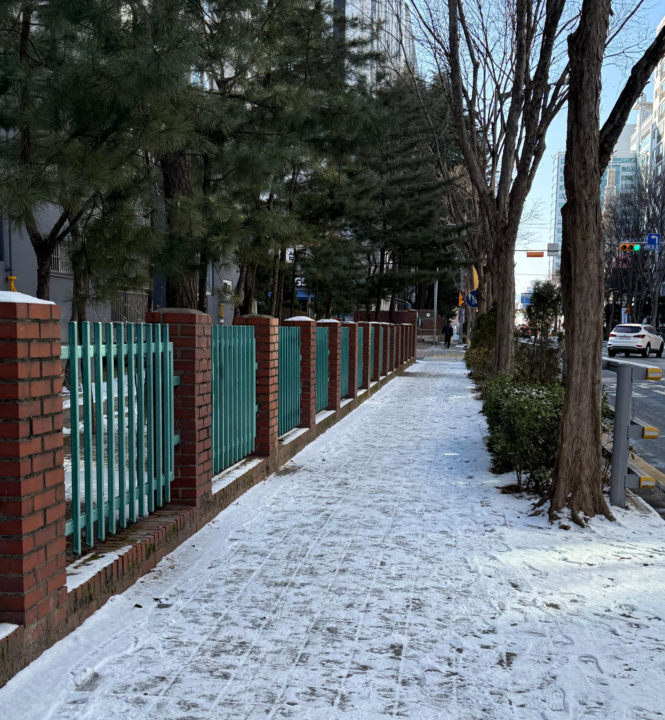 2026년 1월 눈 내린 거리 사진