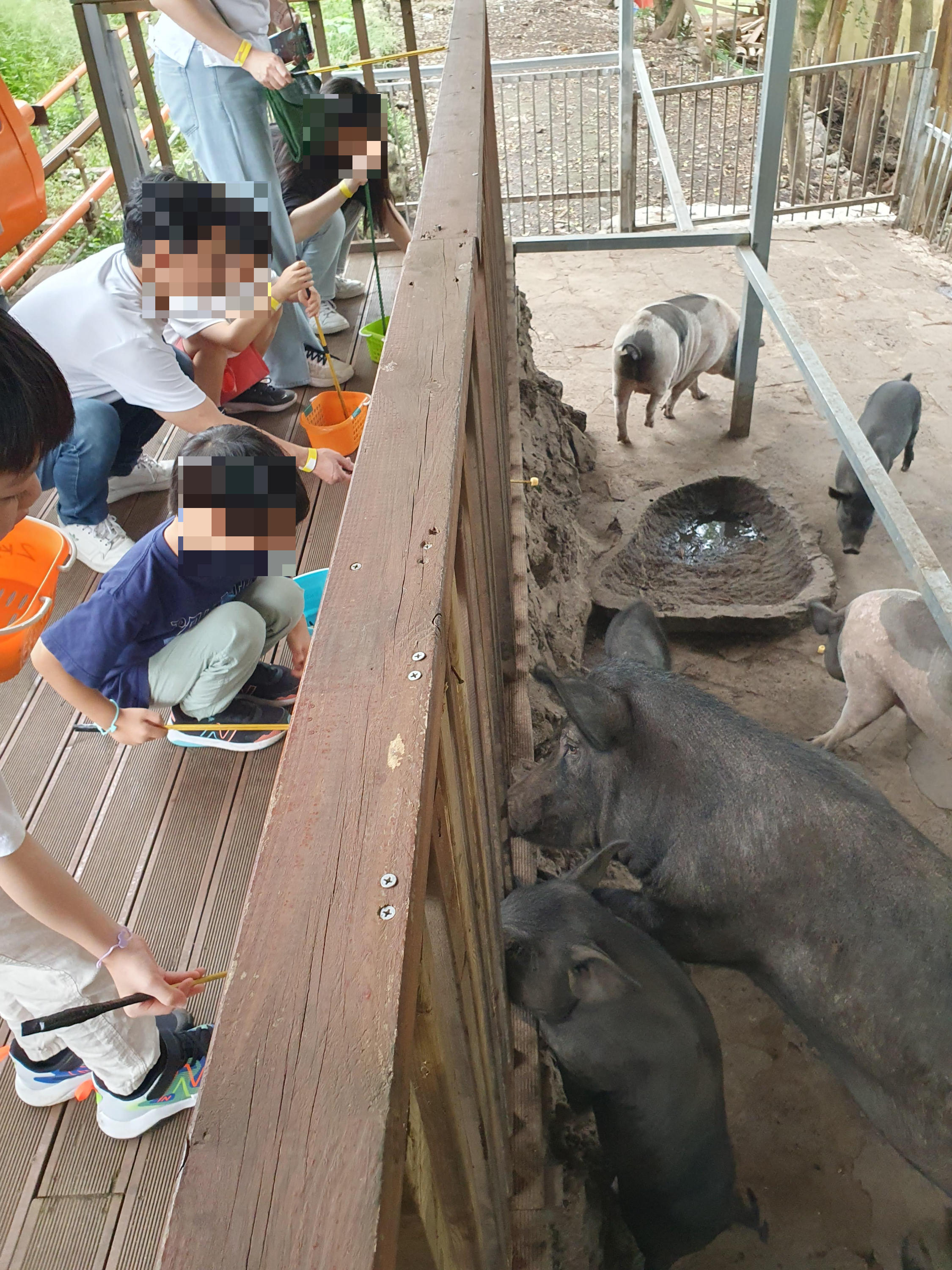 최남단 체험 감귤농장