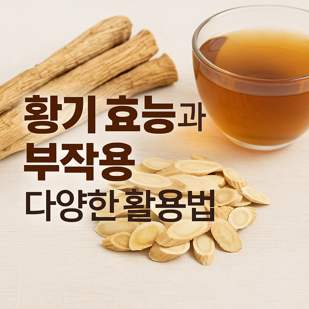 황기효능과 부작용