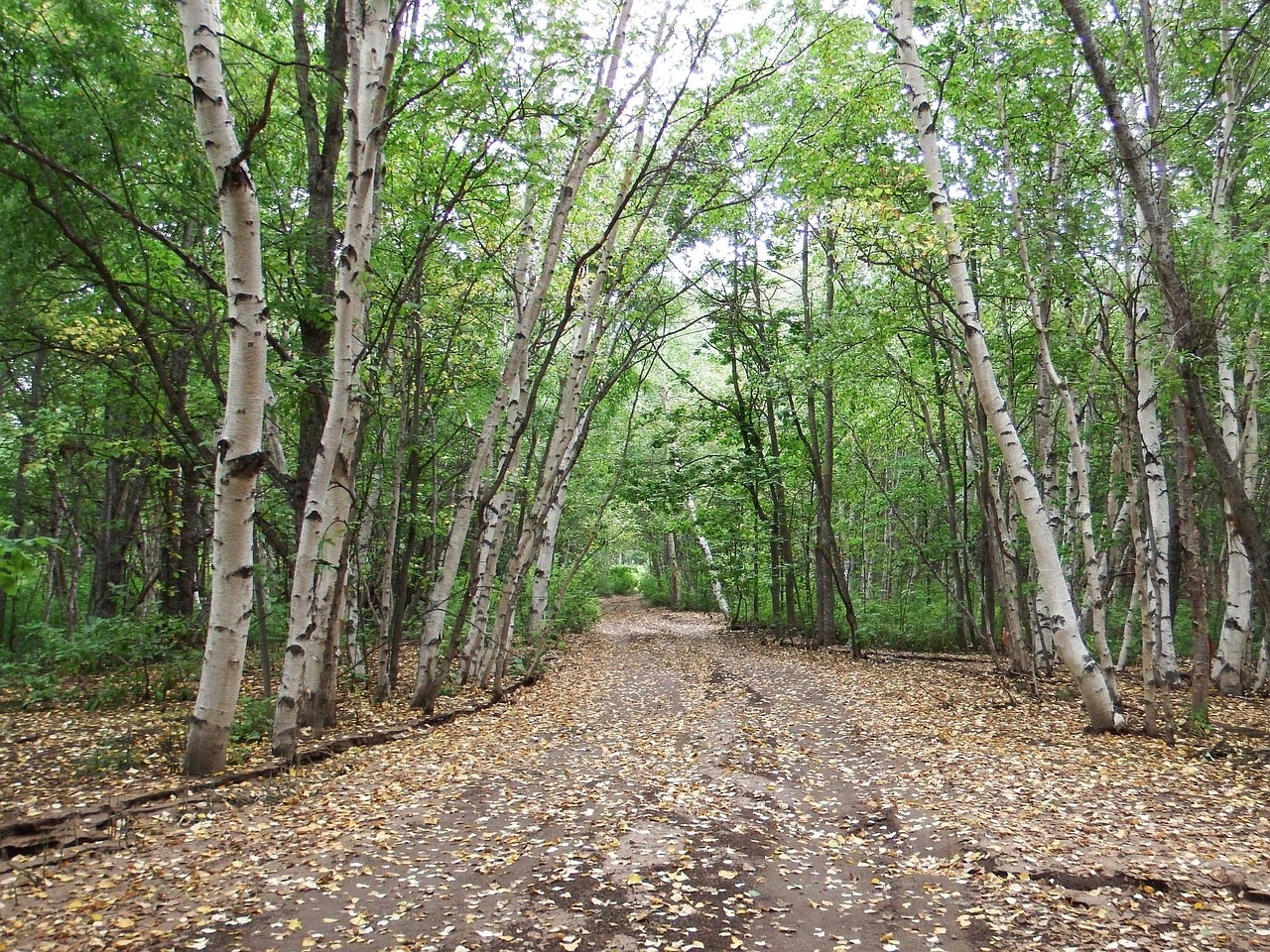 그린벨트 단절토지 사진