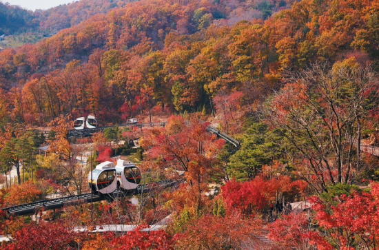 화담숲 모노레일