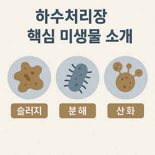 하수처리장 핵심 미생물 소개 관련 사진