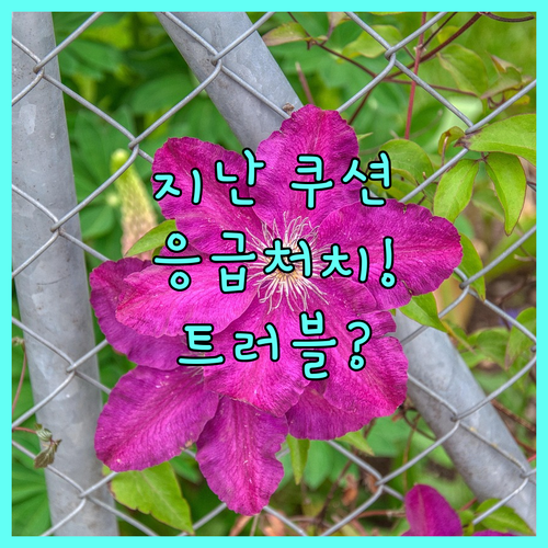 쿠션 유통기한 지난 후 트러블 발생 ..