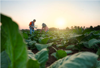 농어민수당 신청