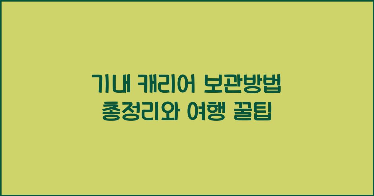 기내 캐리어 보관방법 총정리