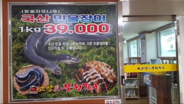 풍천-장어