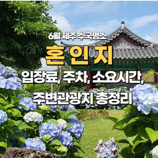 제주-혼인지는-수국명소로-유명한-곳입니다.