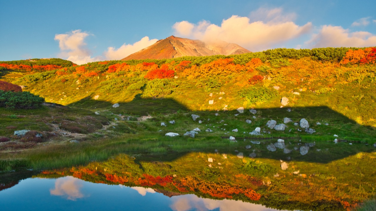 아사히다케 고산 단풍