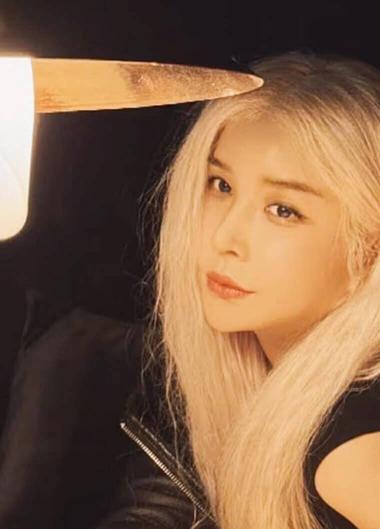 가수-하리수