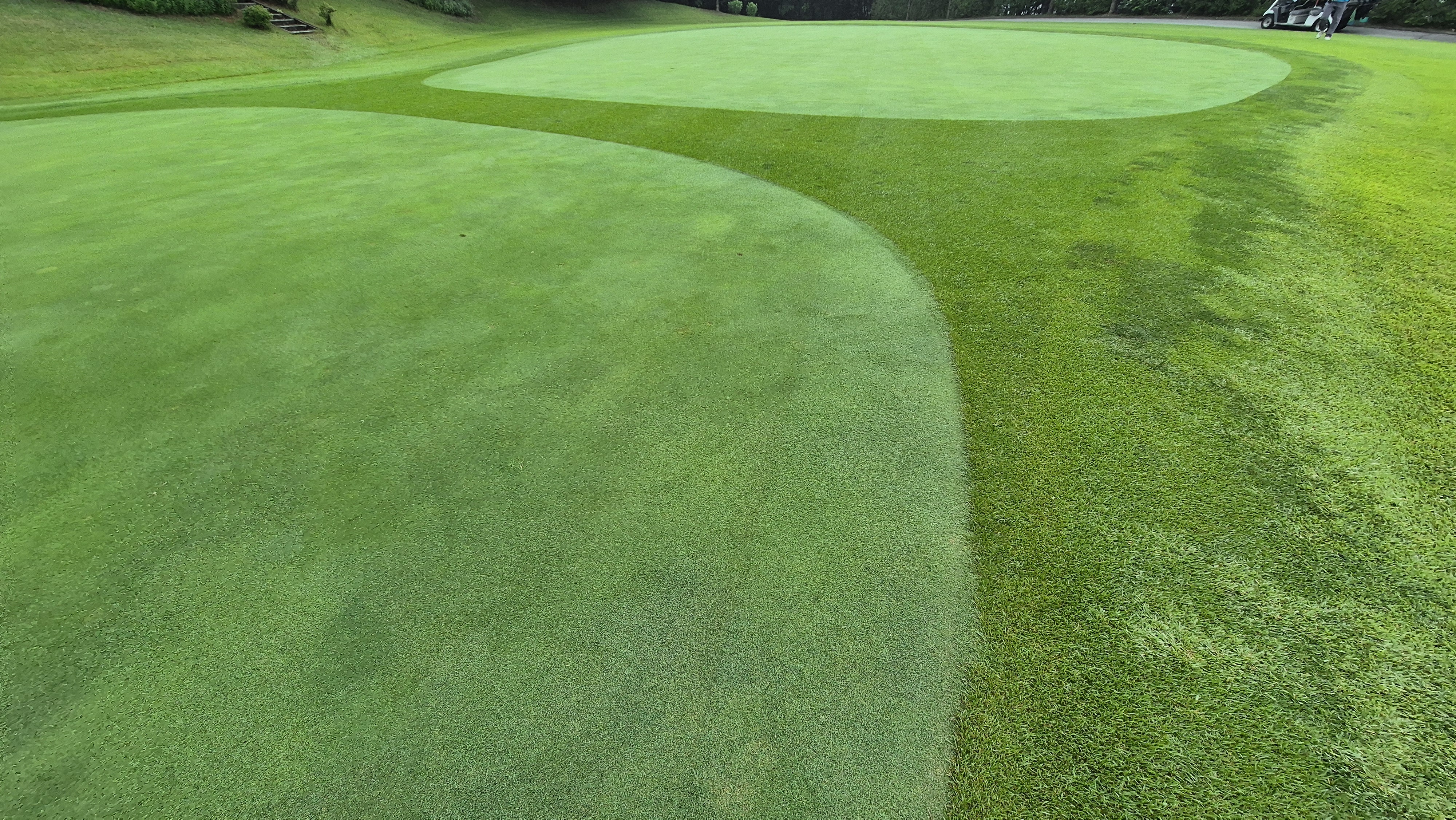 뉴스프링빌cc 라운드 후기