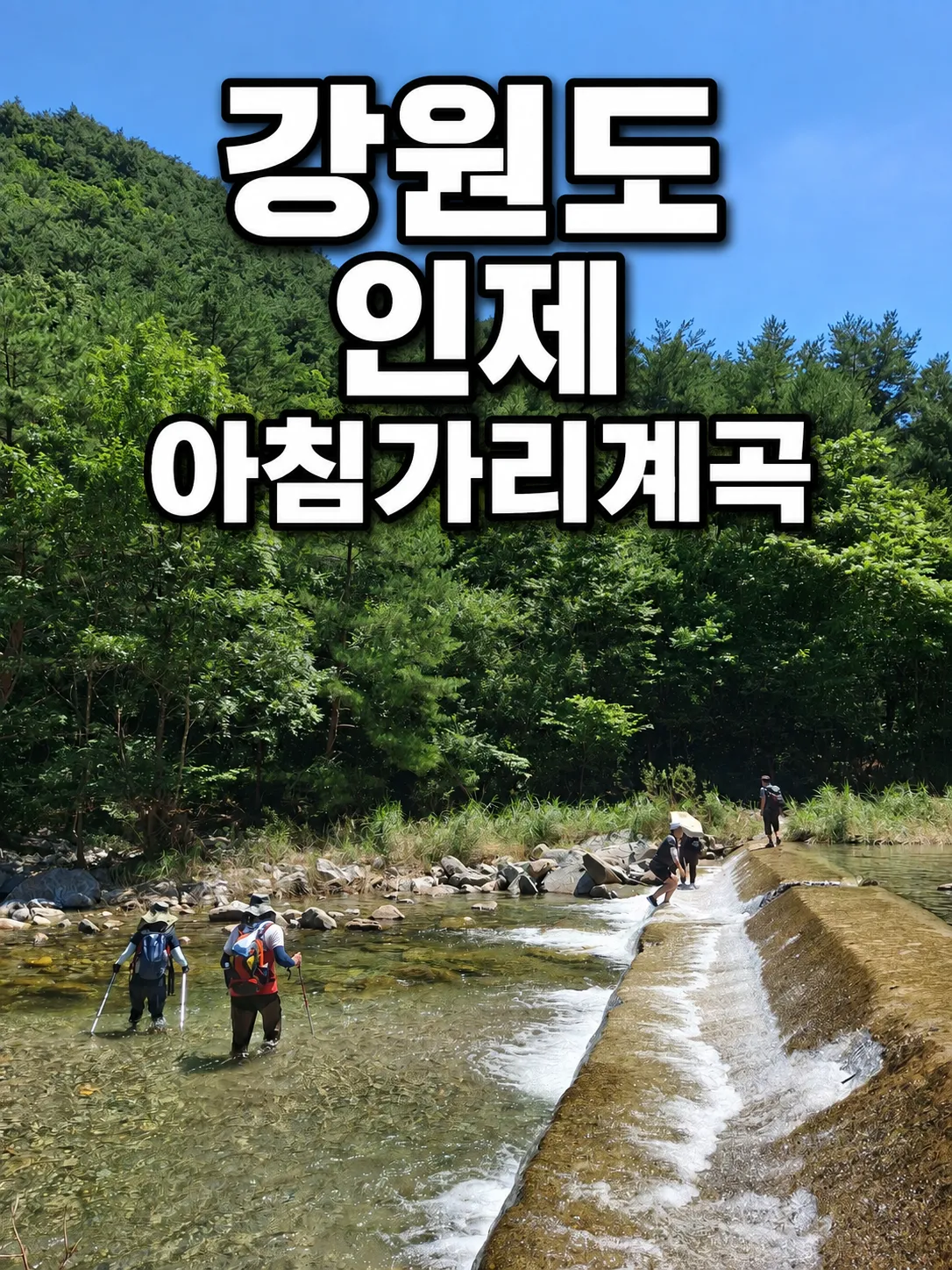 강원도 인제 아침가리 트레킹 시간 교통 투어