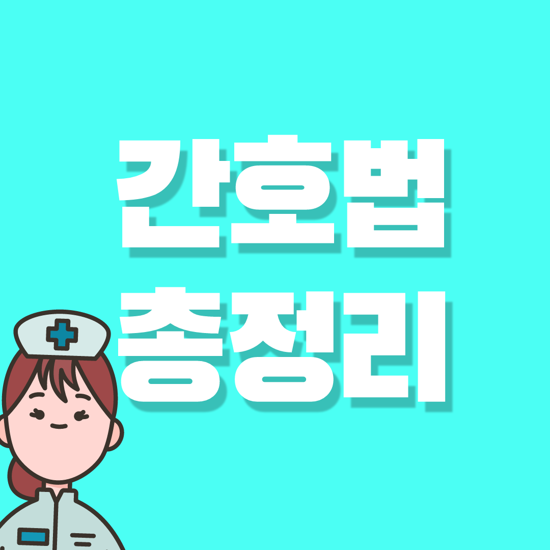 간호법