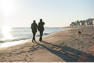 반려견과 함께 살기 좋은 도시 TOP 8