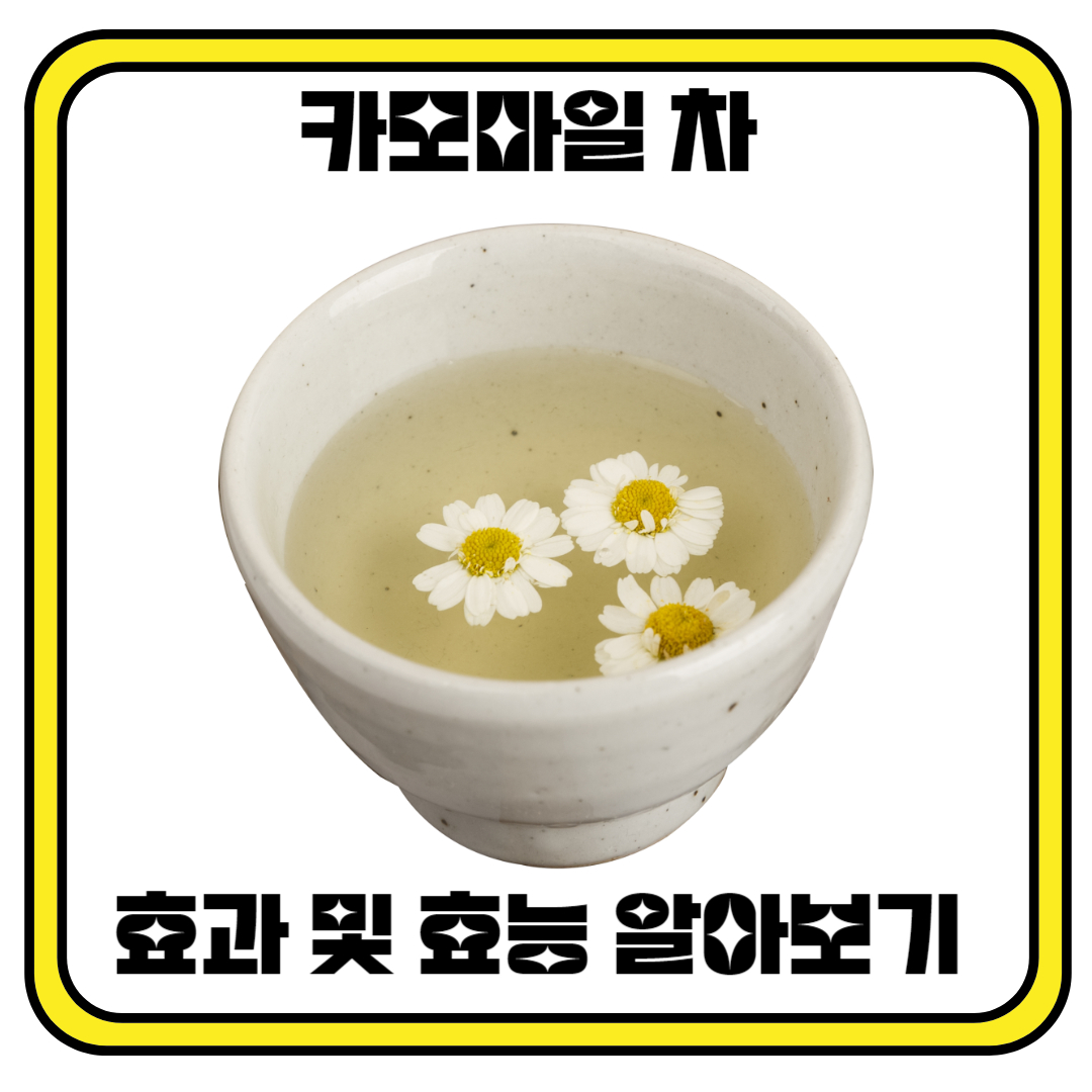 카모마일 차의 효과와 효능