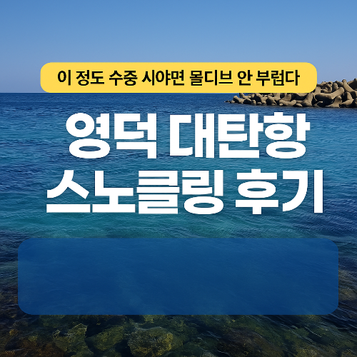 영덕 대탄항 스노클링 후기: 이 정도 수중 시야면 몰디브 안 부럽다