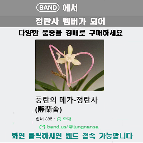 난테크 수익
