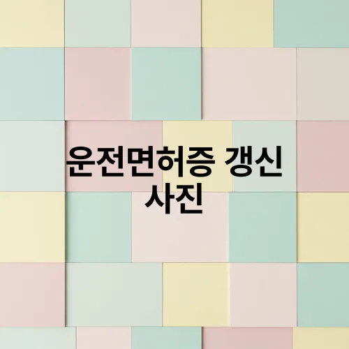 운전면허증 갱신 사진