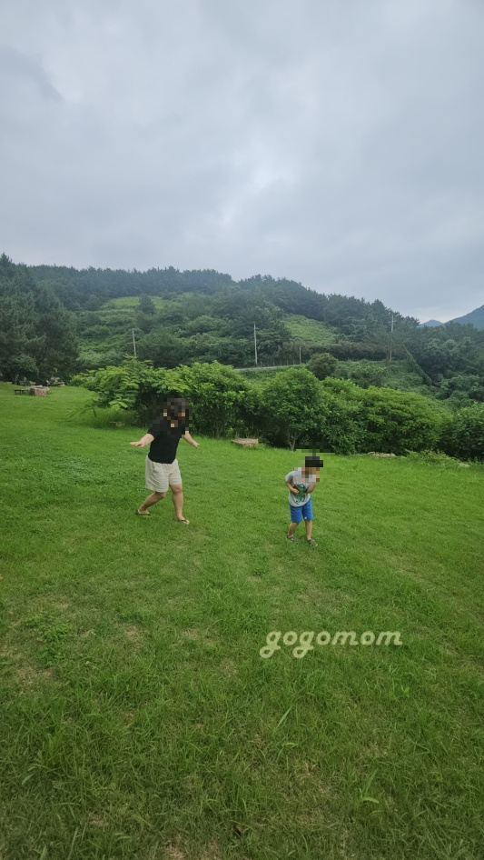 언덕의바람