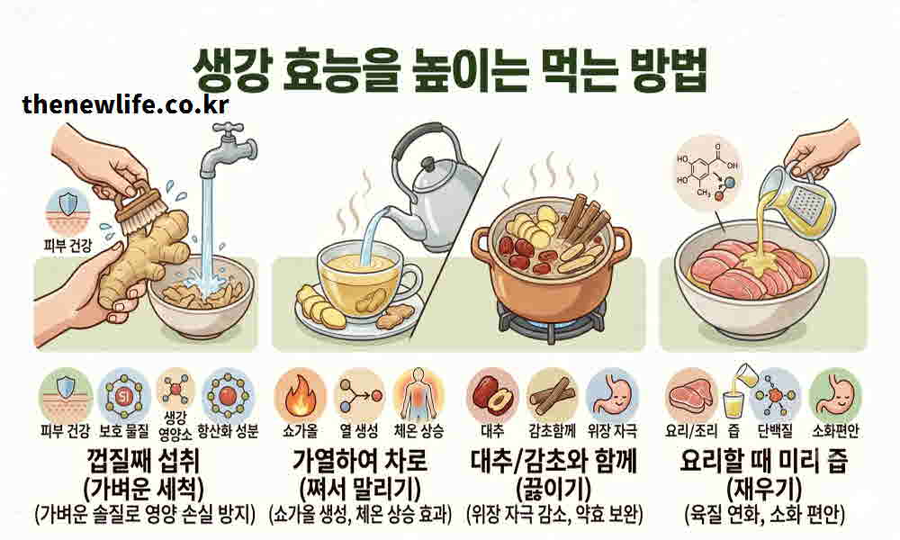 생강 효능 높이는 먹는 방법