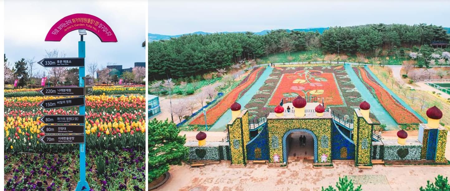 [서울 근교 4월 봄꽃 축제]태안 튤립축제, 안면도 코리아플라워파크