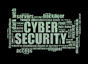 온라인 사기 신고, 대응