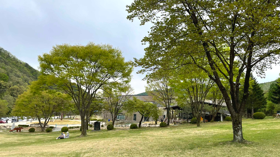 베론성지 잔디밭