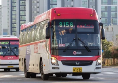 8156번 버스
