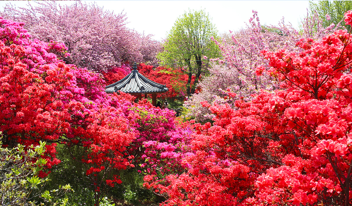 전주 완산칠봉 꽃동산