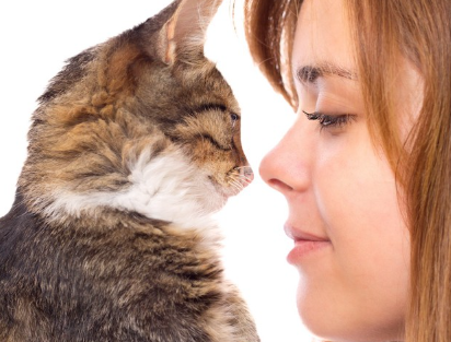 주인과 코를 가까이하는 고양이.