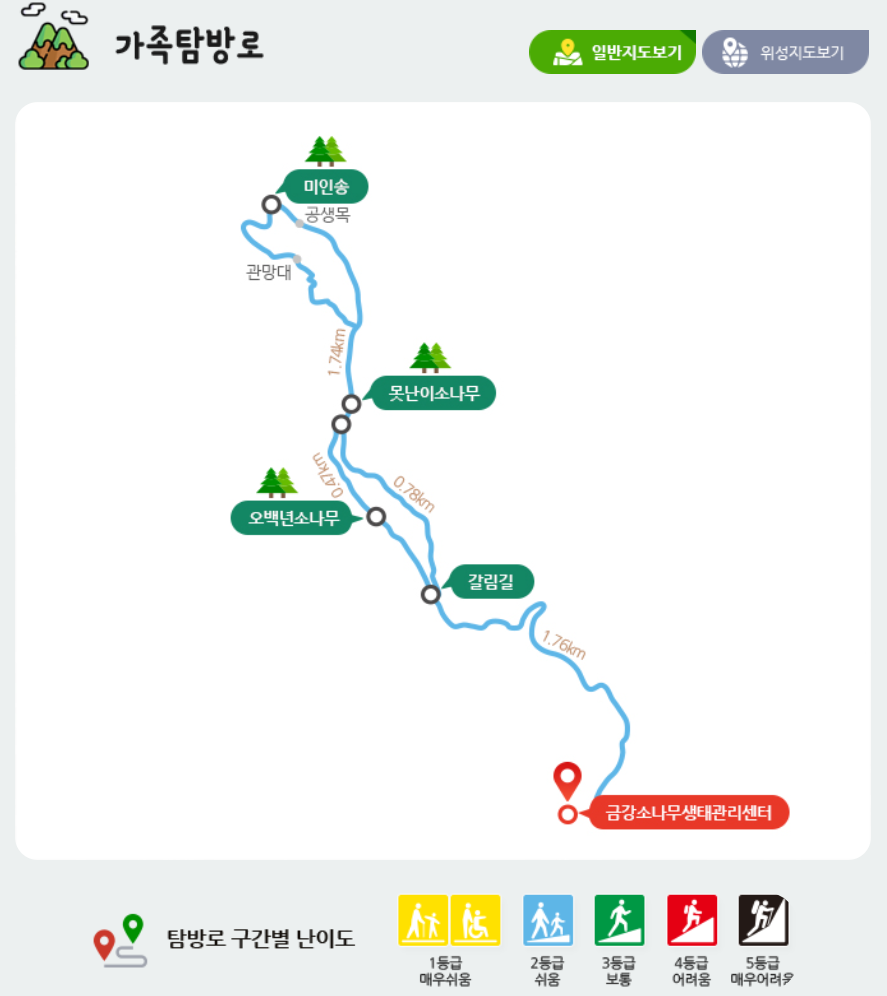 울진 금강소나무숲길