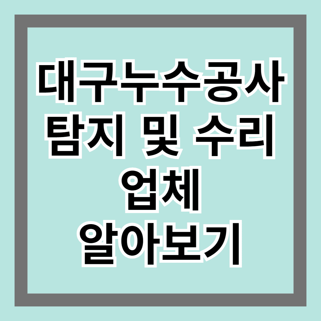 대구 누수공사 탐지 및 수리 업체 알아보기