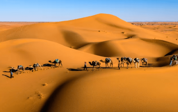두바이 액티비티 총정리: 짜릿함부터 힐링까지!