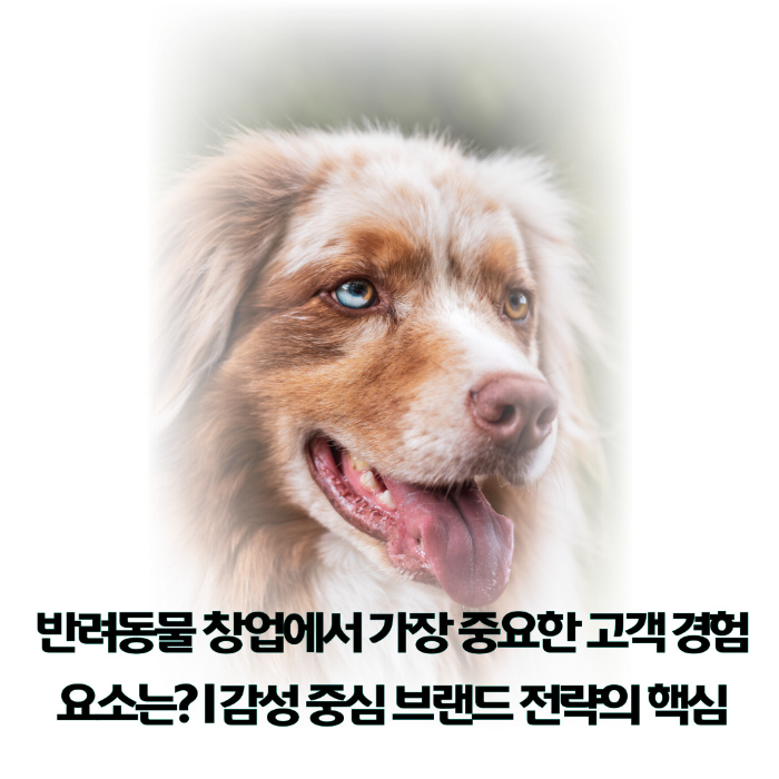 반려동물-창업에서-가장-중요한-고객-경험-요소는?