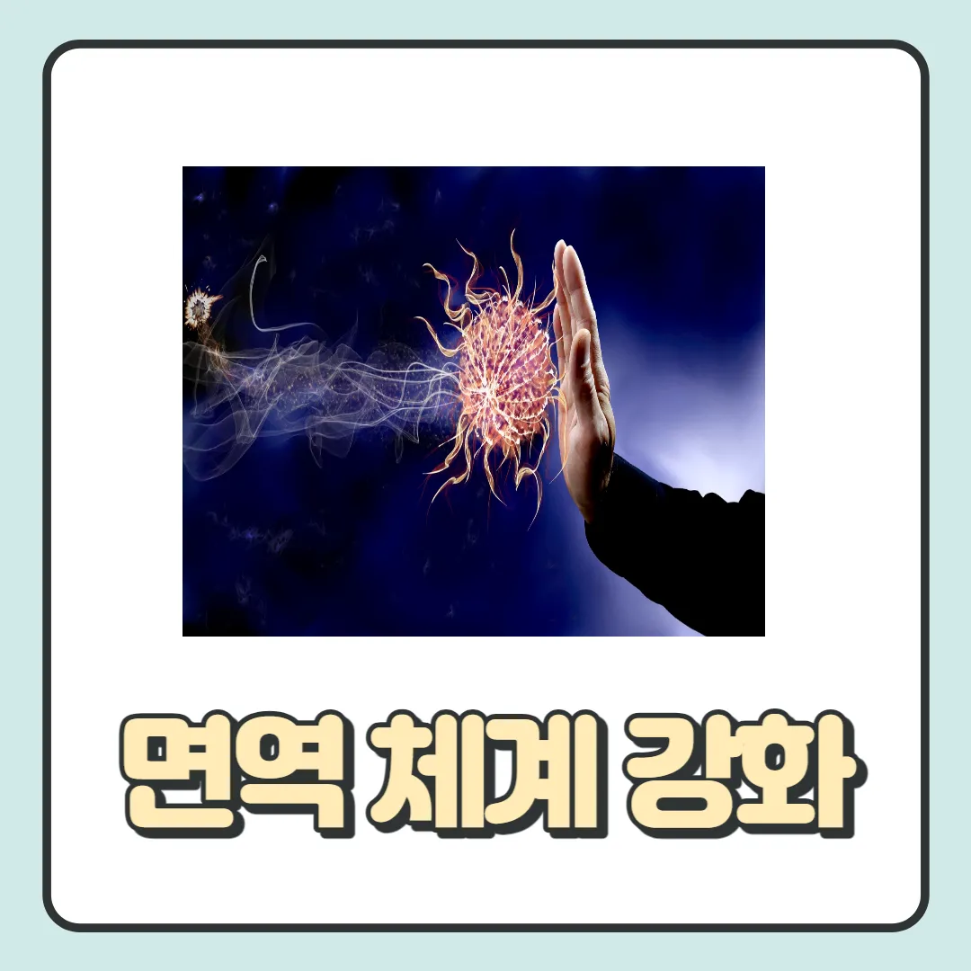 흑염소-엑기스-효능-면역-체계-강화