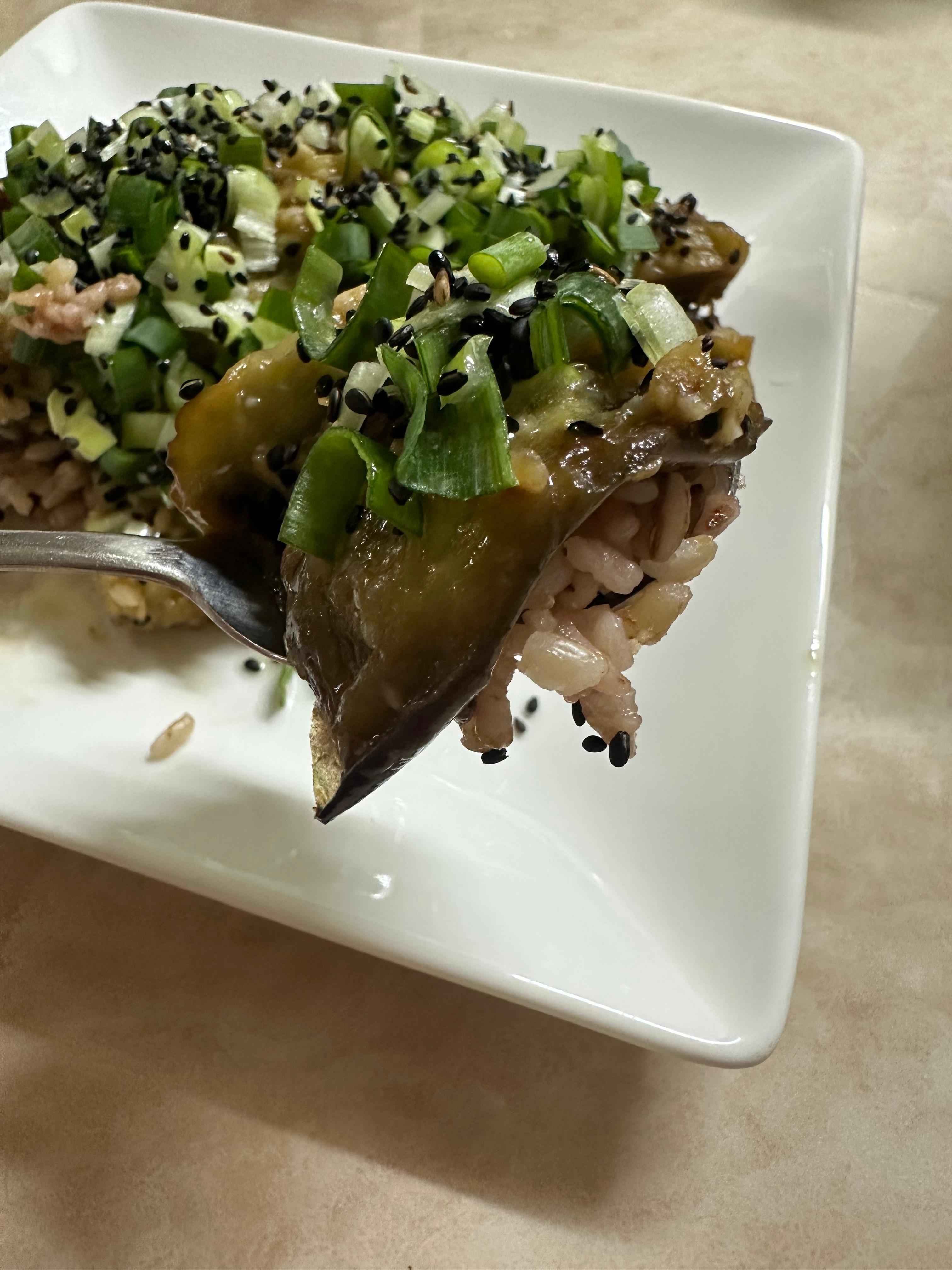 Eel or Eggplant? Park Na-rae&rsquo;s Eggplant Rice Bowl Recipe (Following Celebrity Diet Meal Plans, Healthy Diet, Delicious Diet, Filling Diet, Super Simple Eggplant Rice Bowl Recipe, Sauce Recipe, Eggplant Benefits, Packed with Antioxidant and Anti-Cancer Properties, Recommended Vegetable Dish, Without Doubanjiang, Without Sugar, Without Allulose)