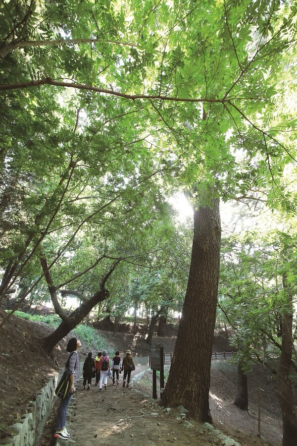 거제 저도 가는 방법