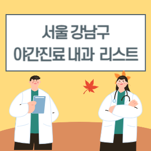 서울 강남구 야간진료 내과 늦게까지하는 병원 리스트